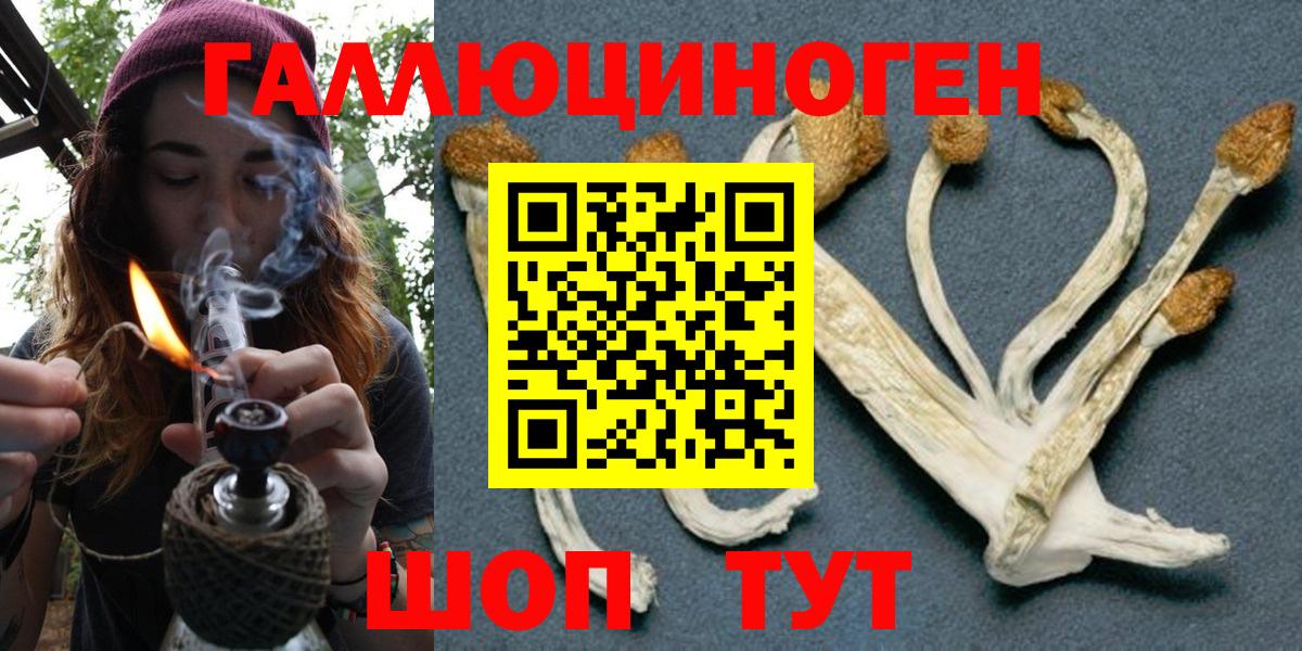 Галлюциногенные грибы MAGIC MUSHROOMS Бахчисарай